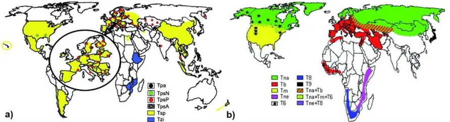 Figura 1. Distribución de las diferentes especies del género Trichinella a) Trichinella spiralis (Tsp), Trichinella pseudospiralis de Norte América (TpsN), T.pseudospiralis de Europa y Asia (TpsP), T