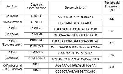 Tabla 3. Secuencias de los oligonucleotidos utilizados en los ensayos de PCR y RT-
