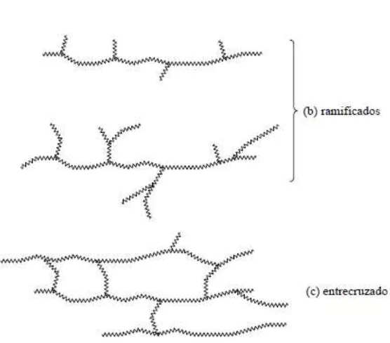 Figura #4.- Nivel de ramificaciones y entrecruzamientos que pueden llegar a tener  las moléculas