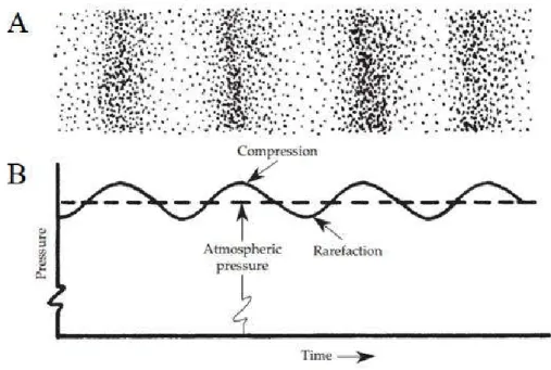 Figure 2.1. Visual representation sound as a longitudinal wave (A) and as a transverse wave (B)