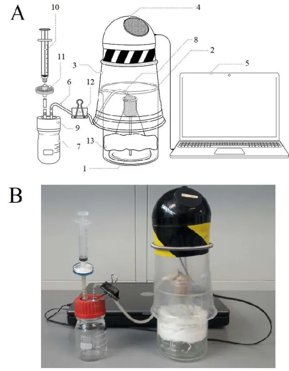 Figure 0.4. Parts of the sound wave inductor device (A) and its assembled form (B): [1] sterilized flask, [2] 
