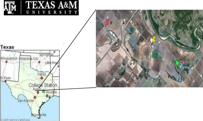 Figura  8. Vista aérea de campos de cultivo en College Station, TX. 