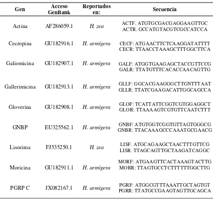 Tabla III. Secuencias de los oligonucleótidos diseñados 