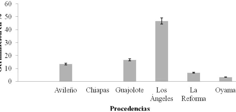 Figura 4. Germinación de chile piquín a diferentes altitudes. Las semillas mostaron mayor porcentaje de germinación a 350m