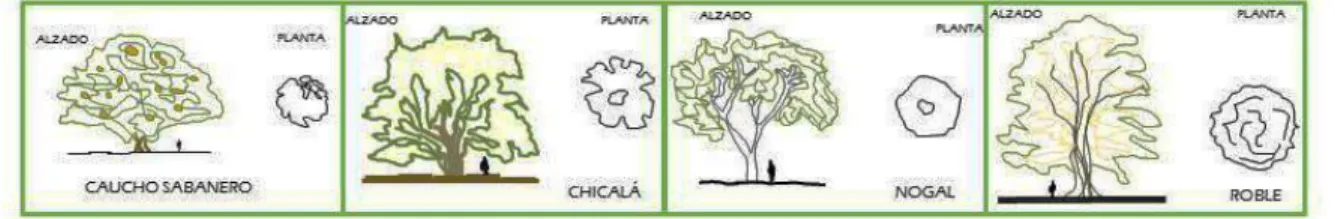 Figura 11.  Estructura Vial 