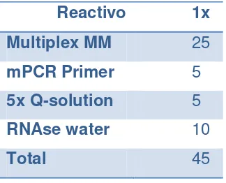 tabla siguiente: 