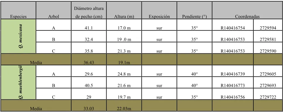 Tabla 2. Características dasométricas y coordenadas UTM de los árboles 