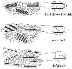 Figura 3. Representación de los tres tipos de dispersión de las nanoarcillas en los 