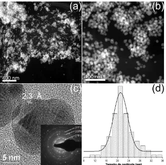 Figura 2. Imágenes de TEM obtenidas del material nanocompósito: (a) imagen de STEM en que se muestran cúmulos de nanopartículas; (b) imagen de STEM en que se observa, a más altas magnificaciones, cuatro de estos cúmulos; (c) imagen de BF en que se observa 