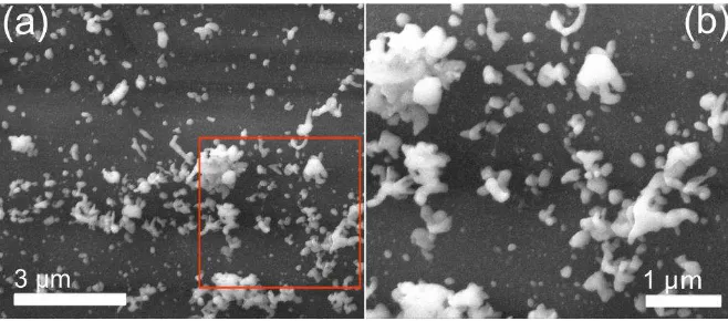 Figura 6. Imágenes de SEM obtenidas del mini implante sumergido en la disolución de material nanocompósito por 8 días: (a) imagen obtenida a bajas magnificaciones (15 000 X), en donde se observan agregados de partículas impregnados en el mini implante; (b)