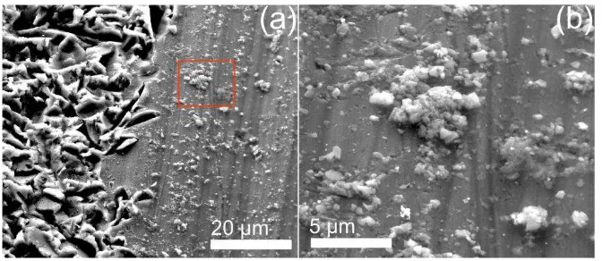 Figura 7. Imágenes de SEM obtenidas del mini implante sometido al proceso de arenado y sumergido en la disolución de material nanocompósito por un periodo de 6 días: (a) imagen obtenida a bajas magnificaciones en donde se observa material nanocompósito adh