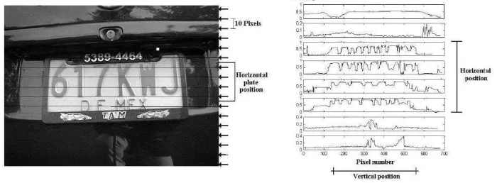 Figura 6: Estimaci´on Horizontal y Vertical