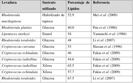 Tabla V.- Distintas cepas de levaduras oleaginosas 