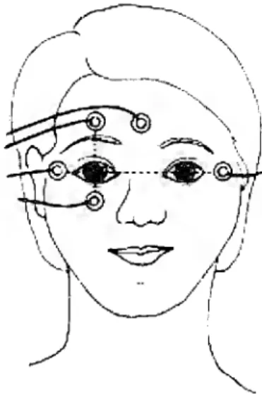 Figura  1.7.  Posicionamiento de  electrodos ideal para una EOG (Fuente: Barea,  2000) 