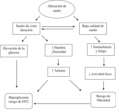 Figura 1. Representación de las variables a estudiar 