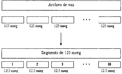 Figure  3.2:  Proceso ele  segmentación. 