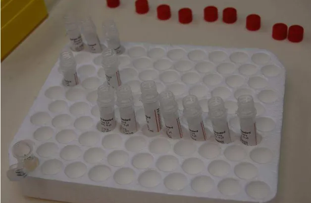 Fig. 10 Placa de ELISA con 96 pozos (cubierta con anticuerpos)  
