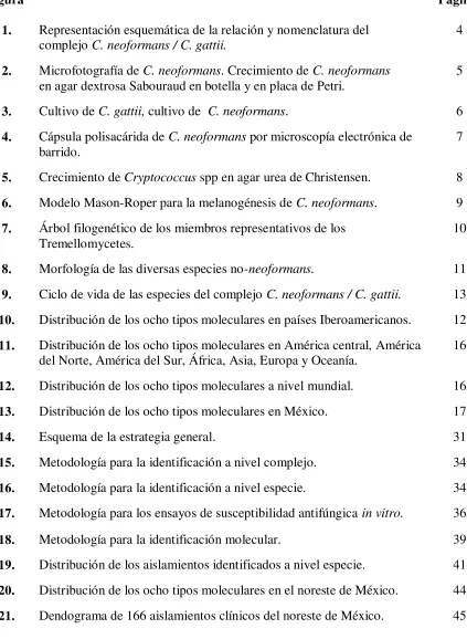 Figura 