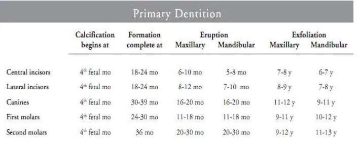 Tabla de calcificación, formación, erupción y exfoliación según la AAPD: 