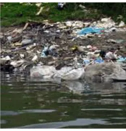 Figura 20. Contaminación en el rio Fucha. 