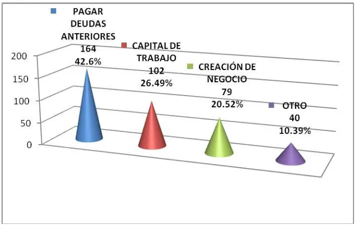 Figura 5. Pregunta No. 4  ‘Describa el destino del Microcrédito obtenido’ 