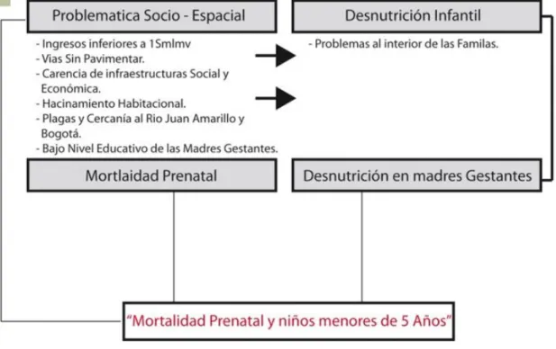 Figura 6. Problemática 