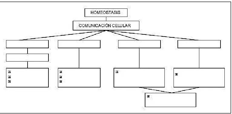 Figura 6: Ejemplo de mapa conceptual 
