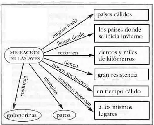 Figura 8: Esquema de mapa semántico 
