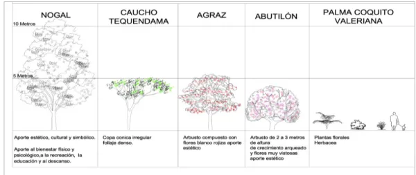 Figura 12. Fitotectura urbana 