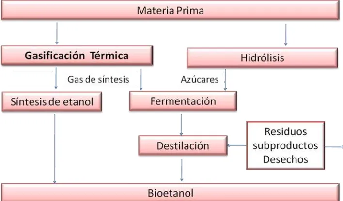 Figura 6. Rutas térmicas y biológicas para la obtención de etanol. (The Royal Society, 2008) 