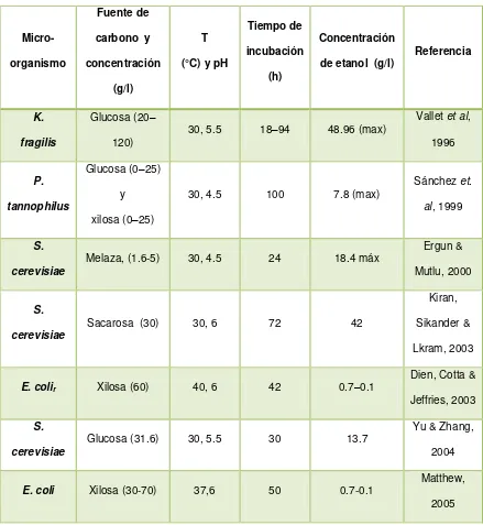 Tabla VI. Producción de bioetanol por medio de fermentación con 