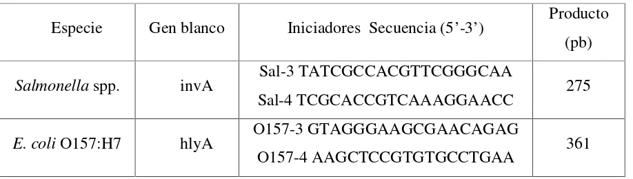 Tabla 2. Iniciadores utilizados en PCR.