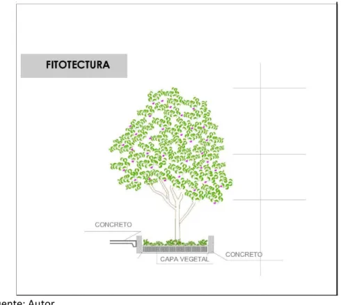 Figura  33: Fitotectura 