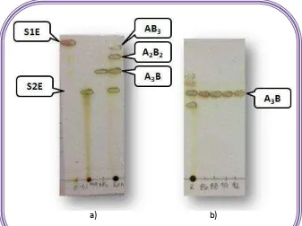 Figura 30. Cromatografía en capa fina de NS4E a) Comparación de las diferentes porfirinas obtenidas, b) fracciones colectadas con la porfirina A3B pura. 