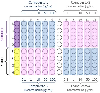 Figura 13. Distribución de los compuestos en la placa de 96 pozos. 