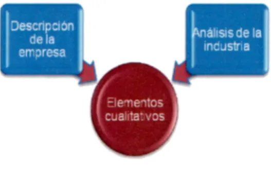 Figura 3:  Elementos cualitativos de  la valuación 