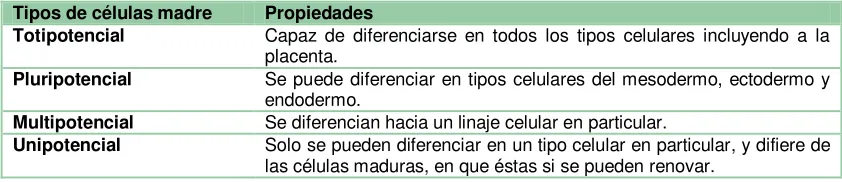 Tabla 1. Clasificación de las células madre[16].