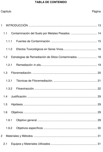 TABLA DE CONTENIDO 