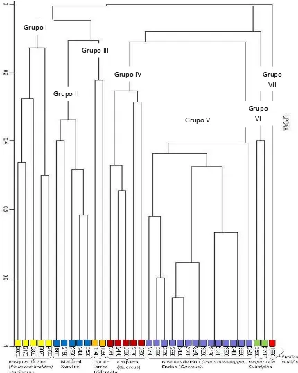 Figura 8. Clasificación de las comunidades vegetales mediante Cluster Analysis 