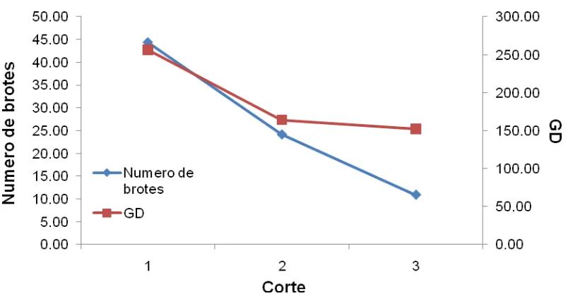 Cuadro 5. Producción total (Cte 1+2+3) de BS y BF en las DP evaluadas. 