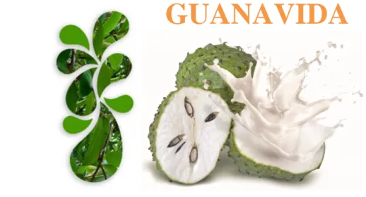Figura 1  Logo Guanavida 