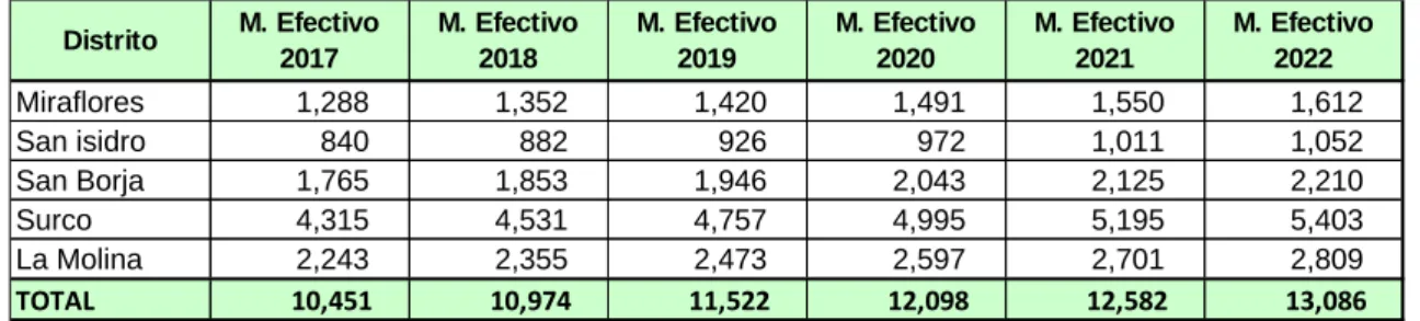 Cuadro 21  Cuadro de Resumen 