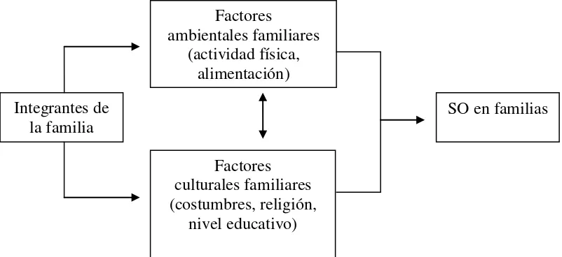Figura 2. Factores ambientales y culturales familiares en el sobrepeso y obesidad. 