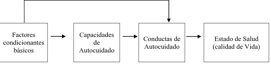 Figura 1. Relación de conceptos de la teoría Autocuidado 
