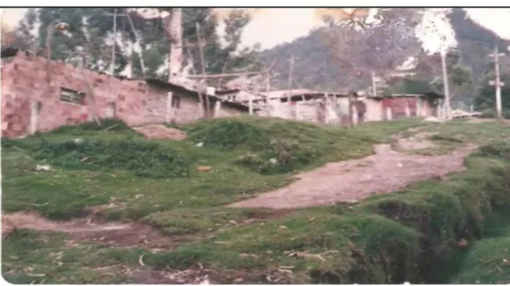 Figura 6. Viviendas construidas en los comienzos del barrio Los Olivos 