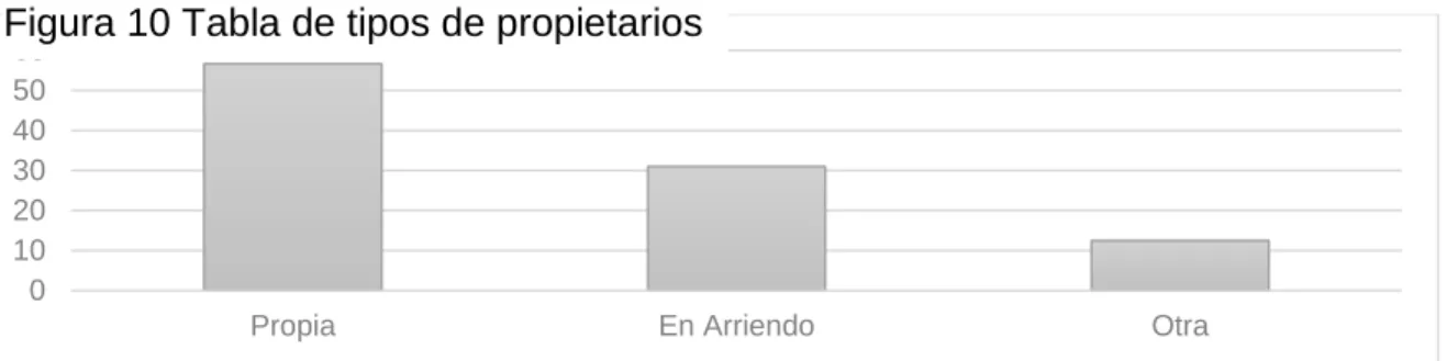Figura 10 Tabla de tipos de propietarios 