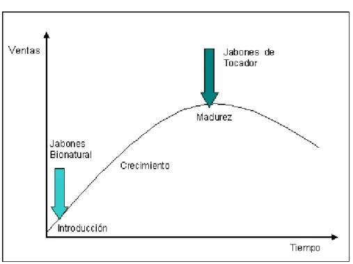Gráfico IV.1  