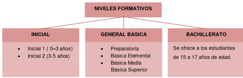 Cuadro No. 4.  Niveles Formativos 