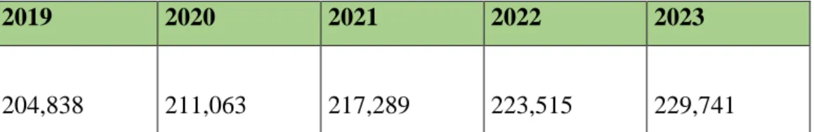 Tabla 12: Estimación del Mercado Efectivo (2019 – 2023) 