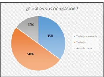 Figura 40. ¿Cuál es su ocupación? 